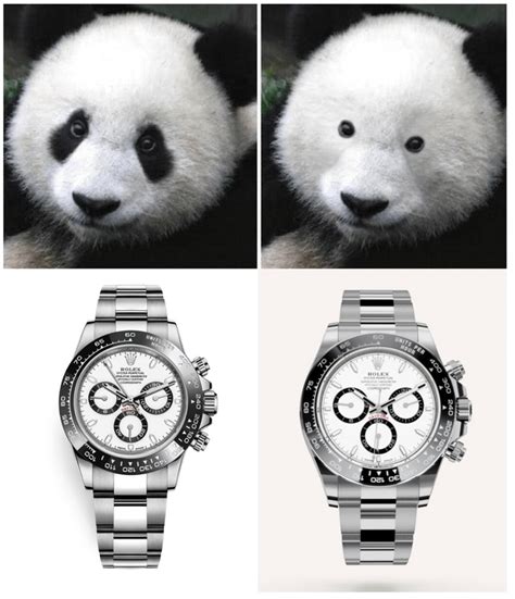 rolex panda old vs new|rolex panda 2024.